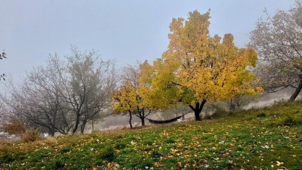 Cortijo Rural El Albercon - Capileira - Alpujarra Rural Villa Ngoại thất bức ảnh