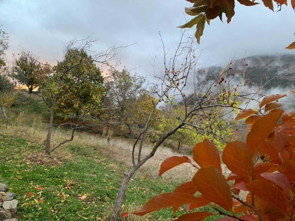 Cortijo Rural El Albercon - Capileira - Alpujarra Rural Villa Ngoại thất bức ảnh