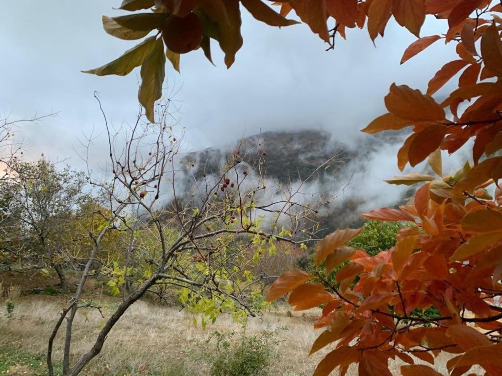 Cortijo Rural El Albercon - Capileira - Alpujarra Rural Villa Ngoại thất bức ảnh