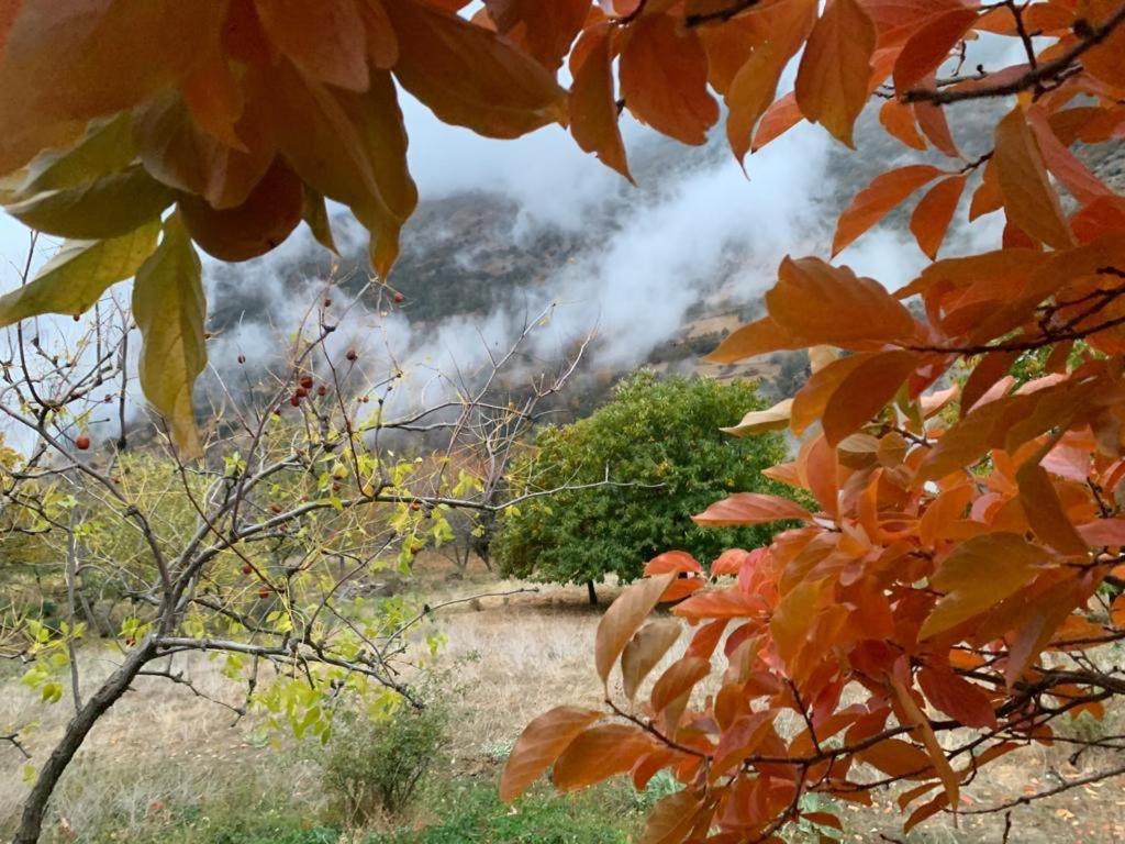 Cortijo Rural El Albercon - Capileira - Alpujarra Rural Villa Ngoại thất bức ảnh