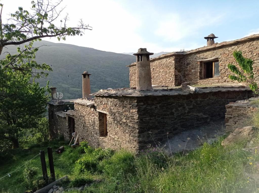 Cortijo Rural El Albercon - Capileira - Alpujarra Rural Villa Ngoại thất bức ảnh